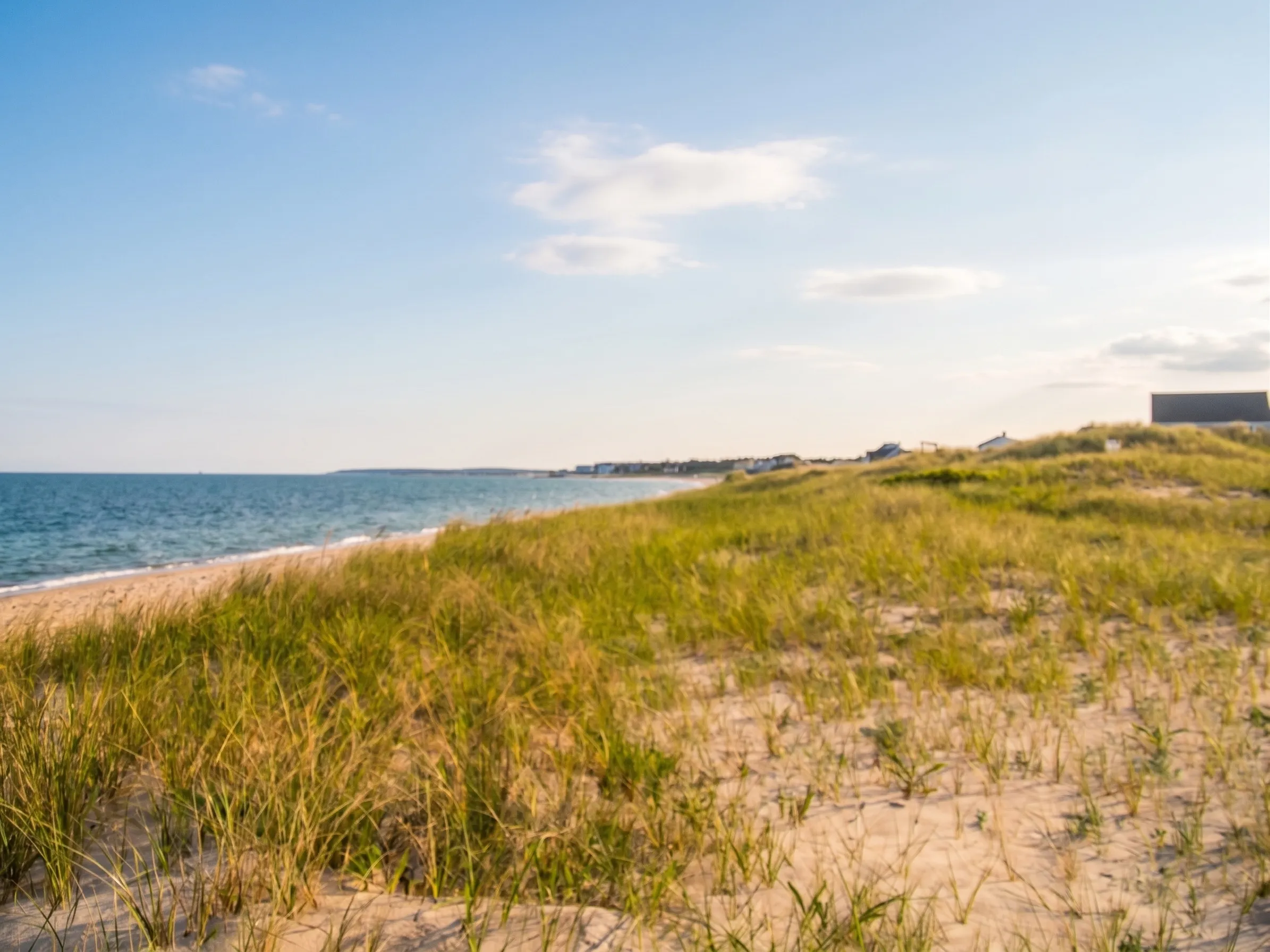 Dunes and beach grass along the Cape Cod shoreline near Hyannis