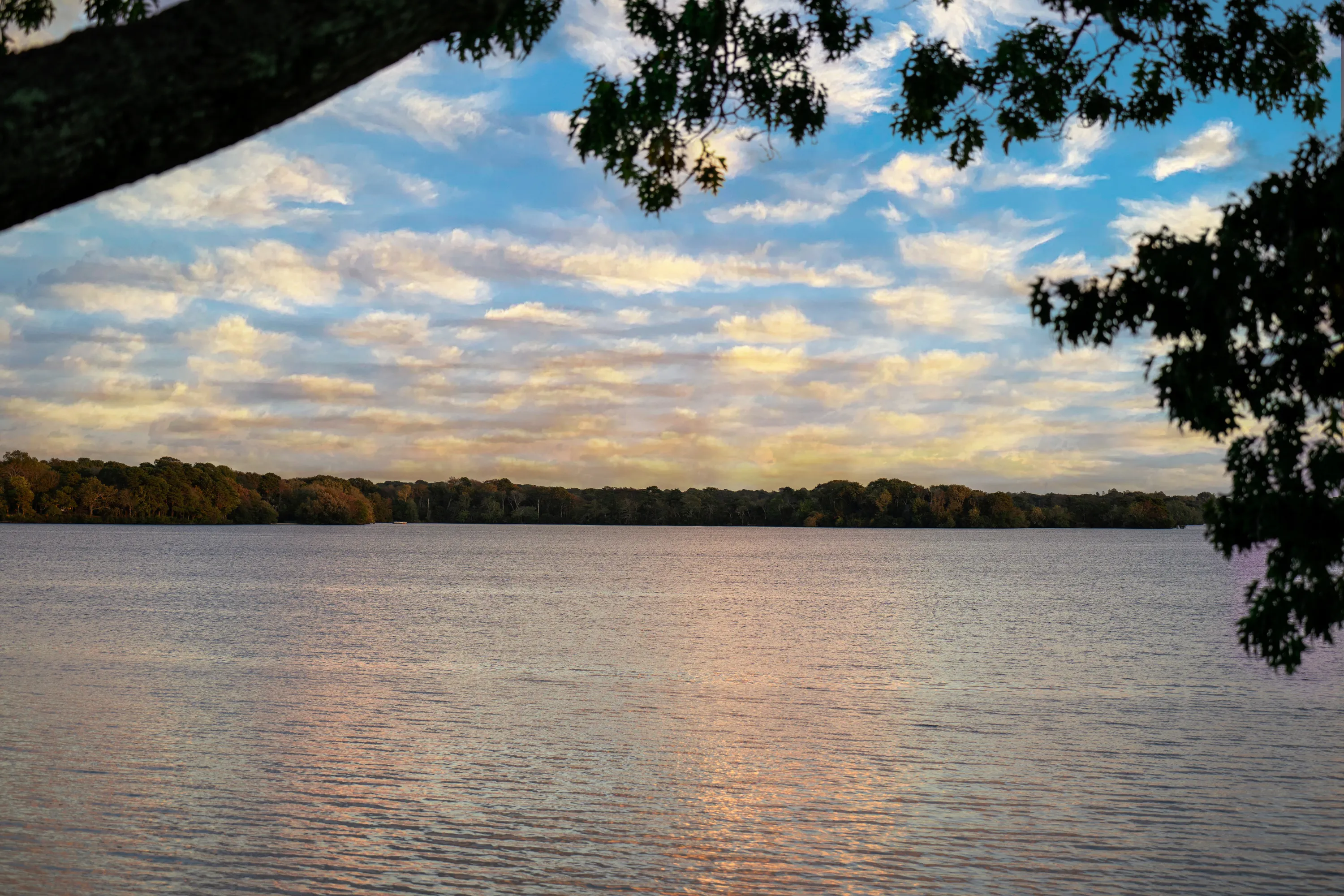 Calm water at the Wequaquet Lake shoreline